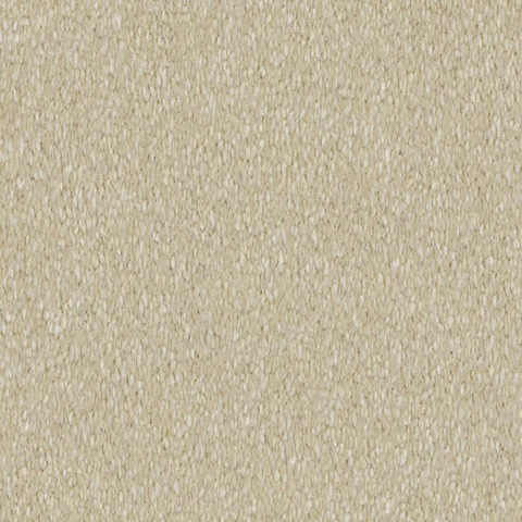 Chalkstone carpet swatch